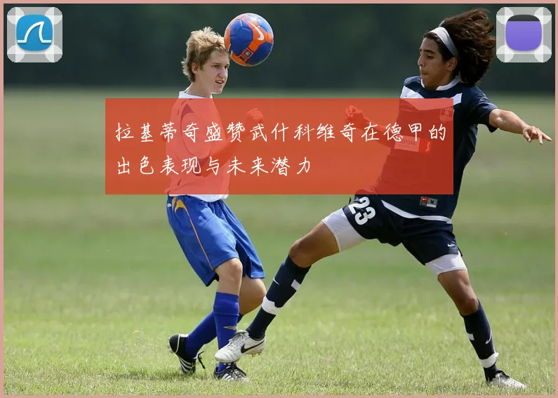 拉基蒂奇盛赞武什科维奇在德甲的出色表现与未来潜力