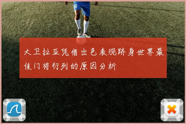 大卫拉亚凭借出色表现跻身世界最佳门将行列的原因分析